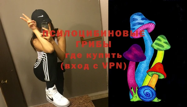 винт Алзамай