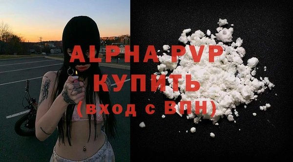 винт Алзамай