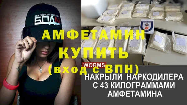 винт Алзамай