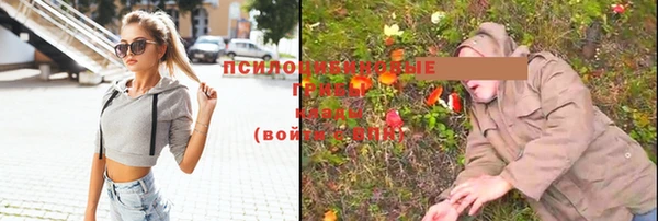 синтетический гашиш Алексеевка