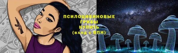 амф Абинск