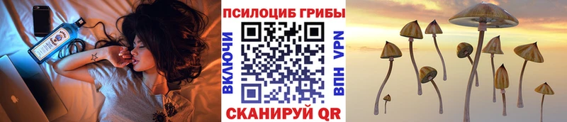 Галлюциногенные грибы мухоморы Адыгейск