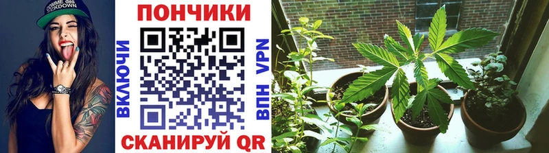 Марихуана LSD WEED  Адыгейск 